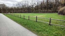 Hundeauslaufgebiet-Wilhelminenaue-Bild