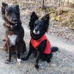 Ersteller:in Doris Profilbild