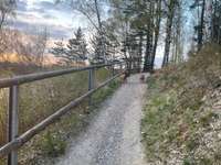 Hundeauslaufgebiet-Knappensee-Bild