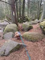 Hundeauslaufgebiet-Naturschutzgebiet Hölle-Bild