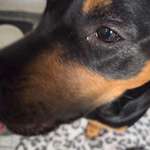 Augenprobleme-Beitrag-Bild