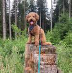 Ersteller:in Jana Profilbild