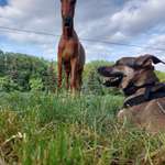 Ersteller:in Isa Profilbild