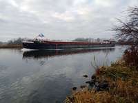 Hundeauslaufgebiet-Drakenburger Marsch-Bild