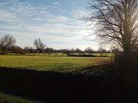 Hundeauslaufgebiet-Drakenburger Marsch-Bild