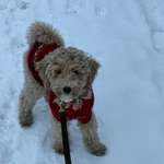 Ersteller:in Vanessa Profilbild