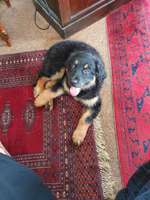 Ersteller:in Saskia Naja Profilbild