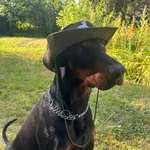 Ersteller:in Jan Profilbild