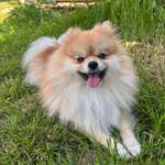 Ersteller:in Gülcan Profilbild