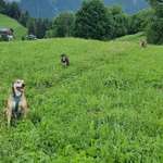 Ersteller:in Yasmin Profilbild