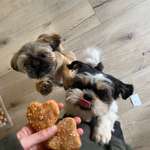 Ersteller:in Amelie Profilbild