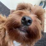 Ersteller:in Hubertus Profilbild