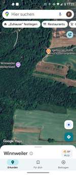 Hundeauslaufgebiet-Schöner Wald für Hunde-Bild