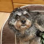 Ersteller:in Claudia Profilbild