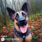 Ersteller:in manuel Profilbild