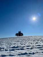Hundeauslaufgebiet-Wasserturm Moosinning-Bild