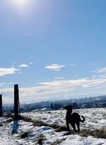 Hundeauslaufgebiet-Wasserturm Moosinning-Bild