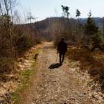 Ersteller:in Tanja Profilbild