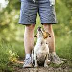 Ersteller:in Levi Profilbild