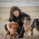 Ersteller:in Alica Profilbild