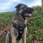 Ersteller:in Lea Profilbild