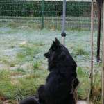 Ersteller:in Jenifer Profilbild