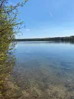 Hundeauslaufgebiet-Lohheider See-Bild