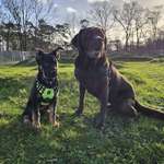 Ersteller:in Antje Profilbild