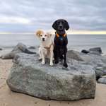 Ersteller:in Marleen Profilbild