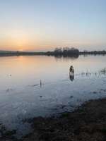 Hundeauslaufgebiet-Stausee Wechmar-Bild