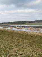 Hundeauslaufgebiet-Stausee Wechmar-Bild