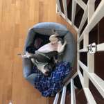 Ersteller:in Juli Profilbild