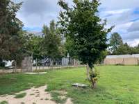 Hundeauslaufgebiet-Hundefreilauf Herford-Bild