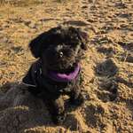 Ersteller:in Jasmin Profilbild