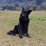 Ersteller:in Bine Profilbild