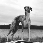 Ersteller:in Sarah Profilbild