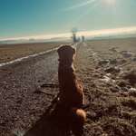 Ersteller:in Daggi Profilbild