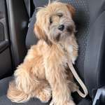 Ersteller:in Lea Profilbild