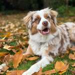 Ersteller:in Lisa Profilbild