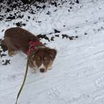 Ersteller:in Yannick Profilbild