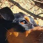 Ersteller:in Kate Profilbild