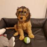 Ersteller:in Sonja Profilbild