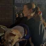 Ersteller:in Milla Profilbild