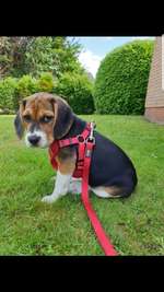 So viel gelernt...-Beitrag-Bild