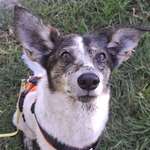 Ersteller:in Kirsten Profilbild