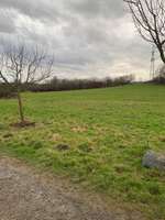 Hundeauslaufgebiet-Uni Witten Annen-Bild