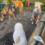 Ersteller:in Franziska Profilbild