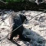 Ersteller:in Andrea Profilbild