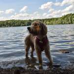 Ersteller:in Franca Profilbild