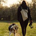 Ersteller:in Isabelle Profilbild